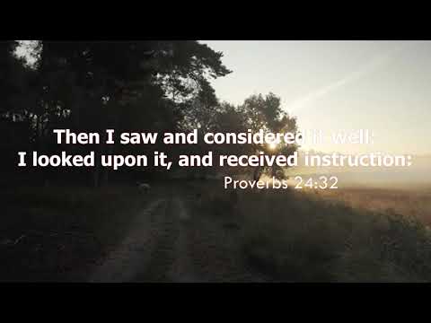 Proverbs 24:32 Today's Bible Devotion
