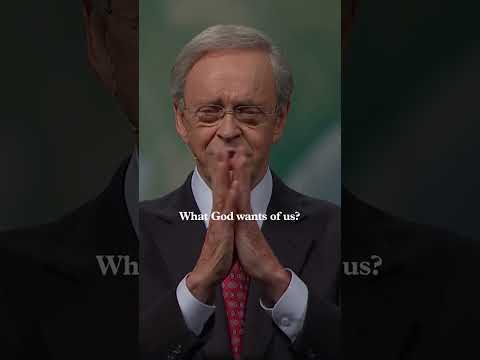 Peace isn't found in the world—it's found in Jesus