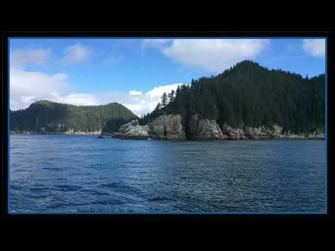 Coffee Break (5 Minutes with God) Psalm 69:4-7