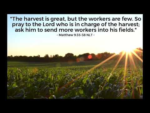 Daily Gospel reflection# 778# 5/7/22/ Year C /Matthew 9:32-38/ Food for the soul/ Fr. Roy Aracakal