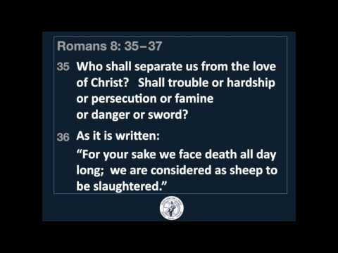 Romans 8: 35 37
