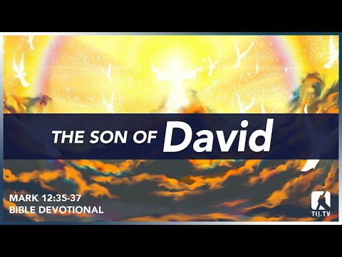 114. The Son of David - Mark 12:35-37