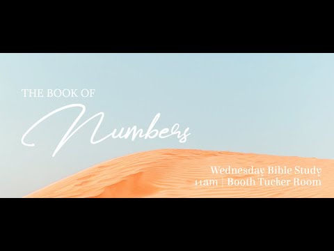 Law of Inheritance - Numbers 27:1-23