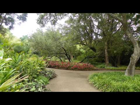 Pastor Mack A Harris Jr[Luke 17:12-19]Ten Lepers