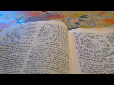 Day 18 (continued) Psalm 88:16-89:29