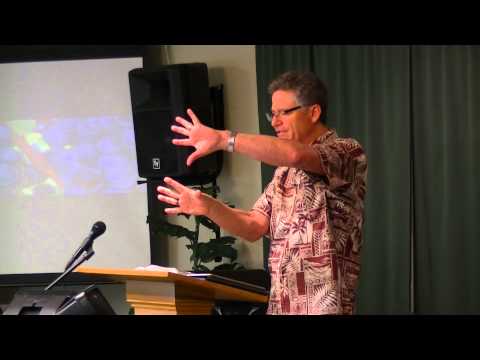 Luke 6:17-36 A Unique Opportunity