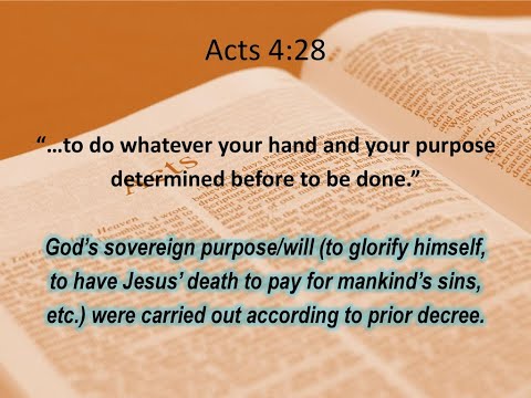 Acts 4:28 - What was "determined before" (predestinated) to be done?  The death of Jesus Christ!