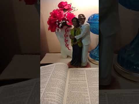 Day 37, Genesis 37:1-10 Do you know what happened to the young boy Joseph?