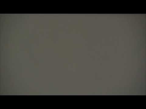 Genesis 5:1-5 Bob B.