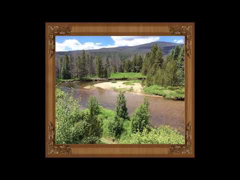 Coffee Break (5 Minutes with God) Psalm 51:12-14