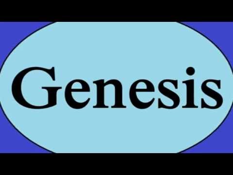 Genesis 1:27