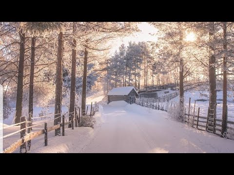 Morning prayer requests/devotions! Scripture of the day: Deuteronomy 11:18-20 Faith Investments! ????????