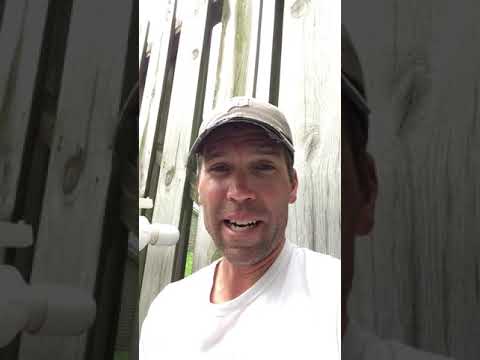 Fused together with Christ/ 1 Corinthians 6:17