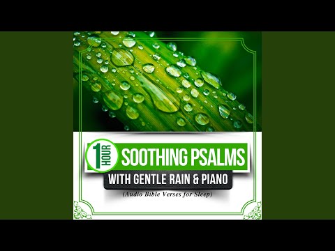 Psalm 95:1 & More (Psalms with Gentle Rain)