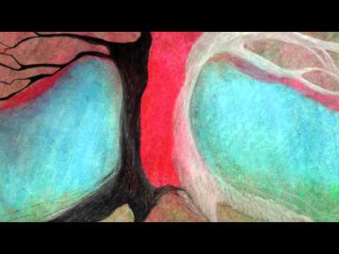 Matthew 11:16-19, 25-30 Commentary by Dr. Tom Boomershine