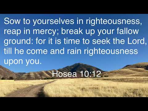 Come Follow Me; Nov 7-13; Hosea 10:12