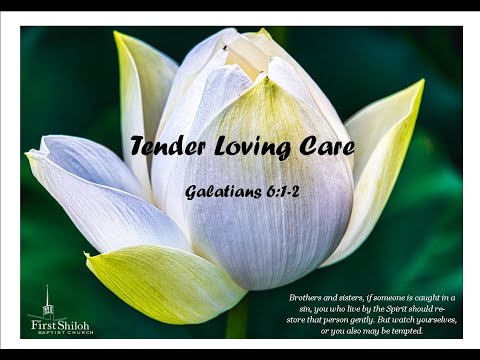 Tender Loving Care - Galatians 6:1-2             2/14/2021