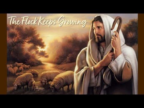 The Flock Keeps Growing - John 10:27-28