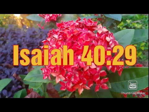 Isaiah 40:29