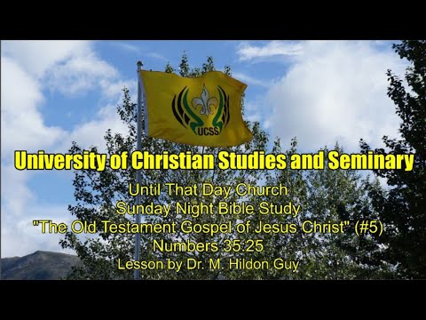 "The Old Testament Gospel of Jesus Christ” (#5)  Numbers 35:25