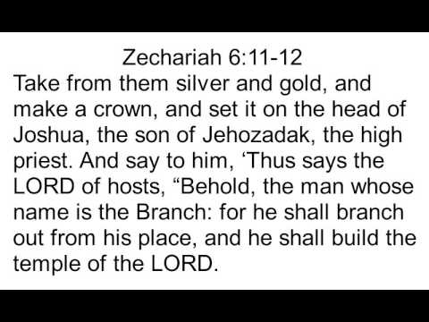 38 Zechariah 6:11-12