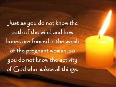 Daily Bread: Ecclesiastes 11:5 (NASB)