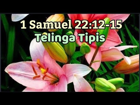 1 Samuel 22:12-15  - Telinga Tipis
