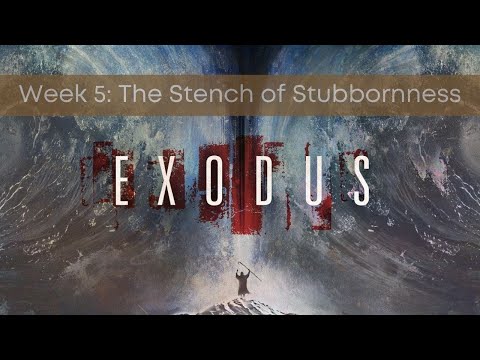 Exodus 6:10-8:19