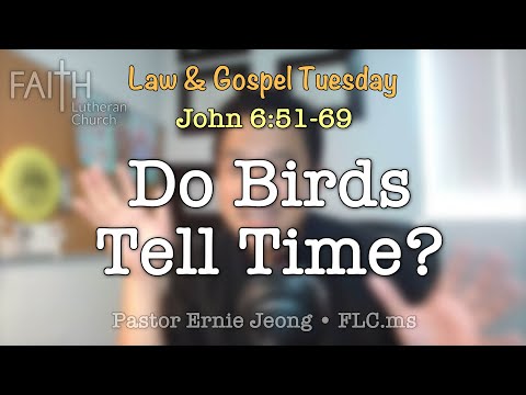 Law and Gospel John 6:51-69 "Do birds know how to tell time?"