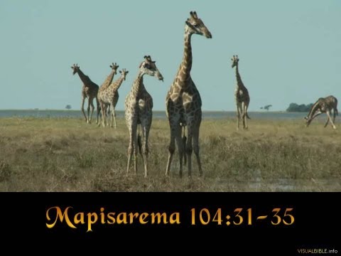Mapisarema 104:31-35 | Psalm 104:31-35 | Shona (1:40min)