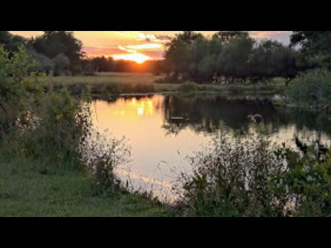 John 8:33 Engaging with Christ to identify self identity of Freedom, Family and Faith.