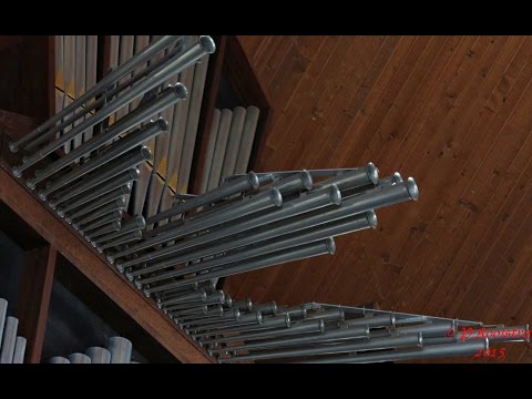 Piet Kooistra-Psalm 73:12 (André van Vliet) Sionskerk Damwoude