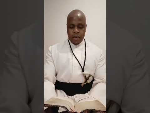 Reflection by Fr. Ndodana Tshuma, OMI: Matthew 18:1-5, 10, 12-14 (11-08-2020)