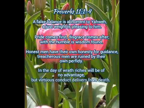 The Holy Bible - Proverbs 11:1-4