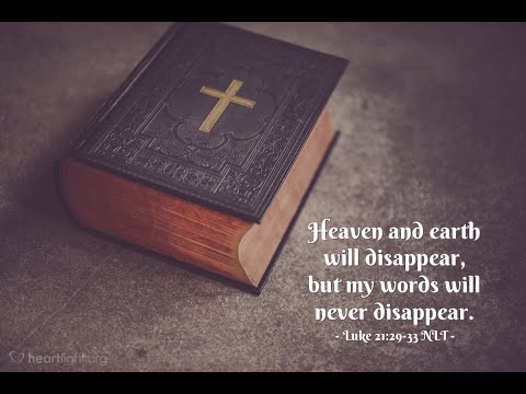 Catholic Mass Gospel and Reflection for November 25, 2022 Luke 21:29-33  The Lesson of the Fig Tree