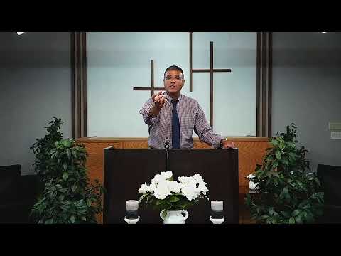 Wednesday Evening Service "Examples of Wisdom: The Conies" Proverbs 30:26