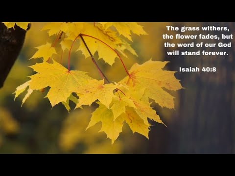 ISAIAH 40:8 ESV | THE GRASS WITHERS, THE FLOWER FADES, BUT THE WORD OF GOD WILL STAND FOREVER
