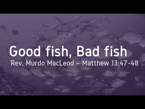'Good fish, Bad fish', Matthew 13:47-48, Sunday 9th April 2021, Rev Murdo MacLeod