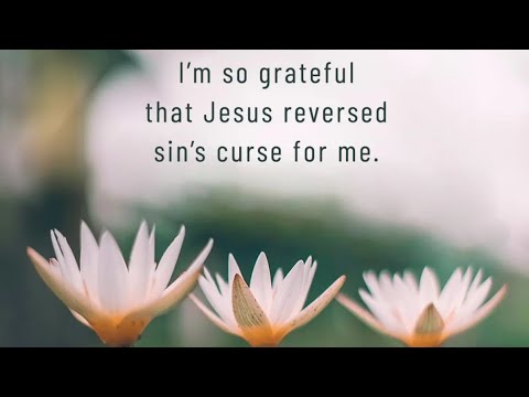 Early morning prayer requests/devotions! Scripture of the day:Luke 23:49-56 Not So! ????????