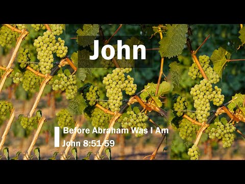 Before Abraham Was I Am (John 8:51-59)