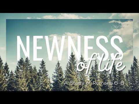 “There Is No Comparison” - Romans 8:18-30, Pastor Tim Nelson