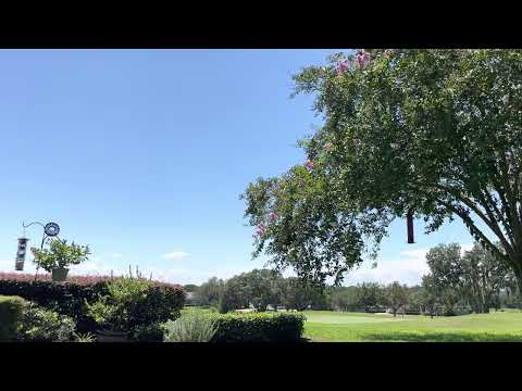 Day 228~ August 16~ Nehemiah 11:1-12:26, 1 Corinthians 10:14-33, Psalm 34:11-22, Proverbs 21:14-16