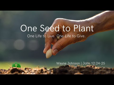 One Seed to Plant | John 12:24-25 | Wayne Johnson