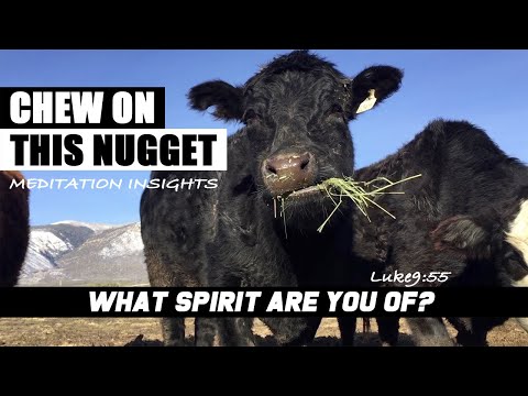 Chew on this Luke 9:55 What Spirit are you of? We need to discern the breathe breathed upon us