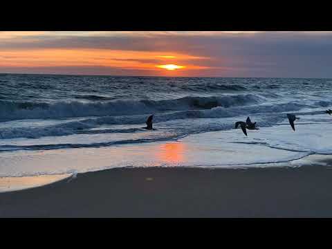 Coffee Break   (5 Minutes with God) Psalm 129:4-130:1