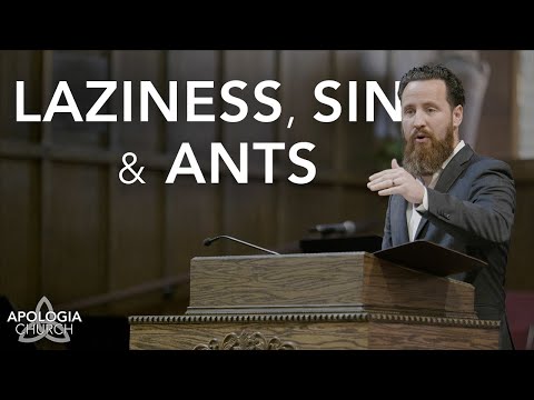 Sermon: Laziness, Sin & Ants