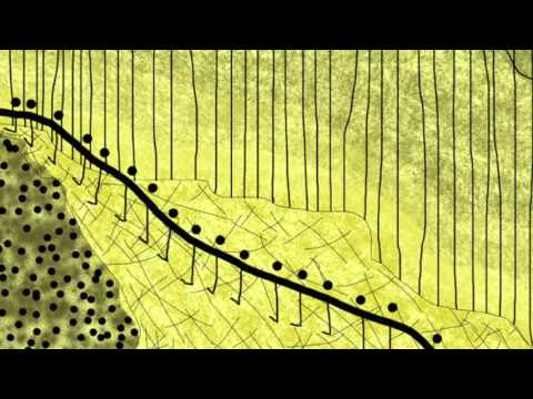 Matthew 16:21-28 Commentary by Dr. Tom Boomershine