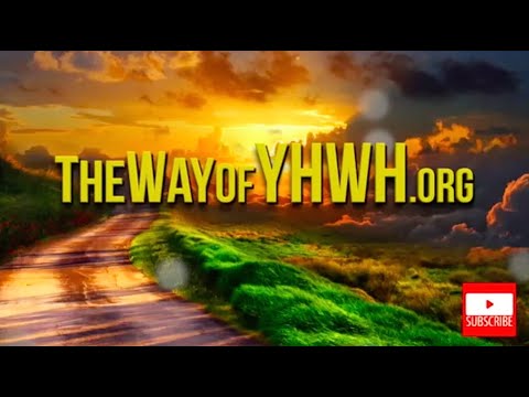 What does John 10:36-38 show us?