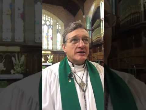 Sheep amongst Wolves - a sermon on Matthew 10:16-22