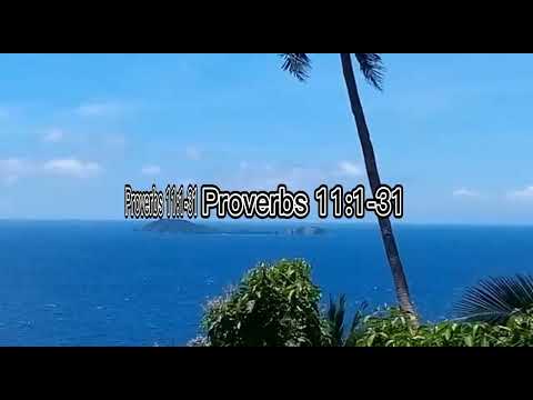 Proverbs 11:1-31 #wordofgod  #god